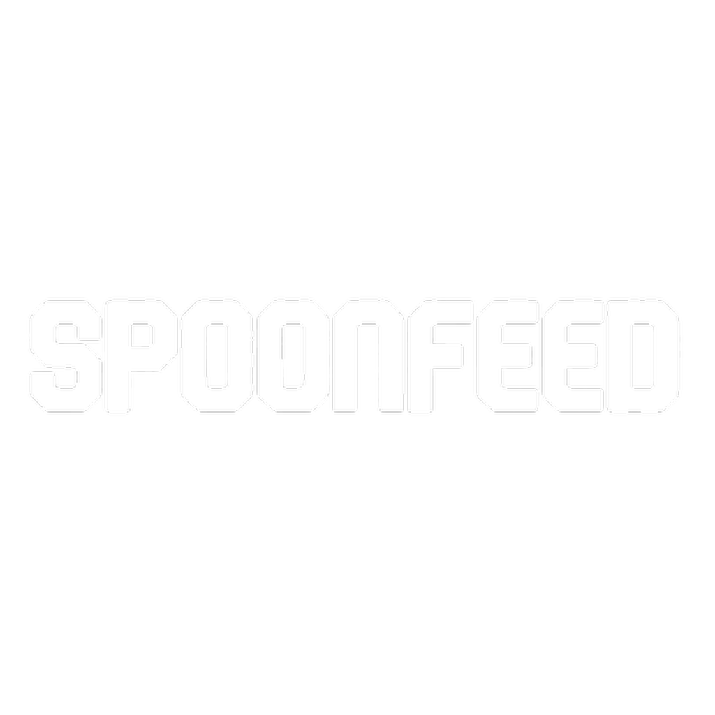 Spoonfeed Skript Generator